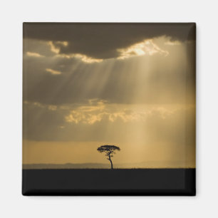 Imán Una puesta de sol mística al regresar al campament
