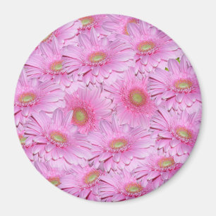 Imán Una sinfonía de gerberas rosadas,
