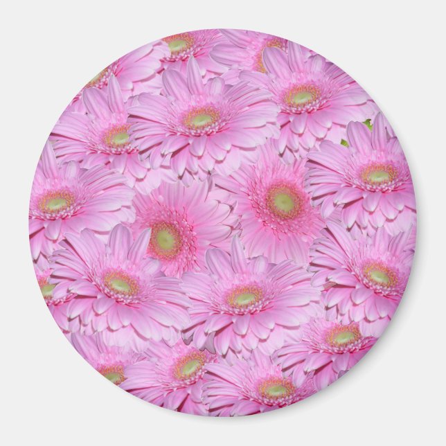 Imán Una sinfonía de gerberas rosadas, (Frente)