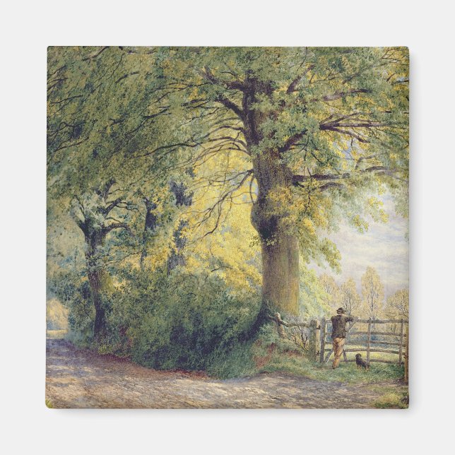 Imán Under the Beeches (Frente)