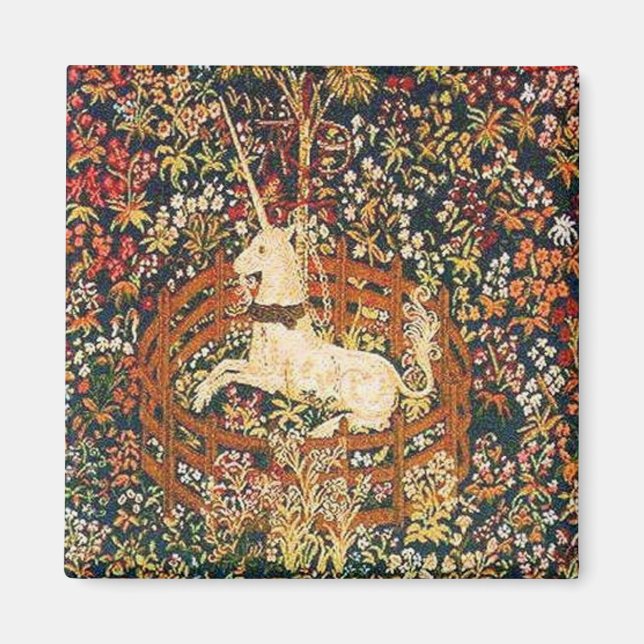 Imán Unicornio cautivo (Frente)