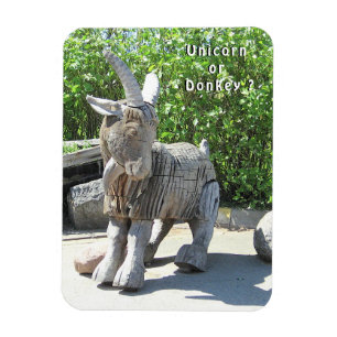 Imán ¿Unicornio o burro? Palanga, LITUANIA -