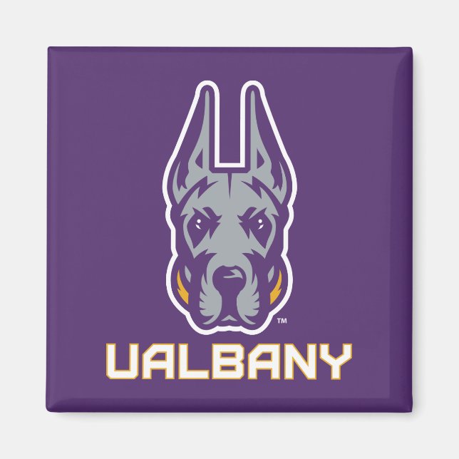 Imán Universidad de Albany Great Danes (Frente)