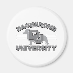 Imán Universidad de Dachshund