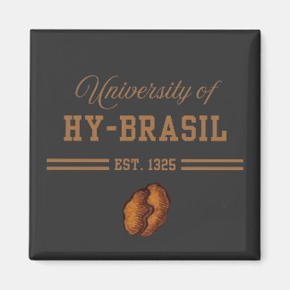 Imán Universidad de Hy-Brasil, Est. 1325