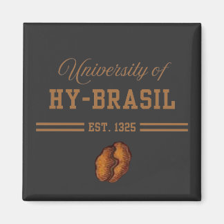Imán University of Hy-Brasil, Est. 1325