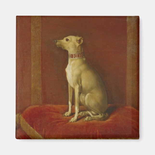 Imán Uno de los Greyhounds italianos de Frederick II (Frente)