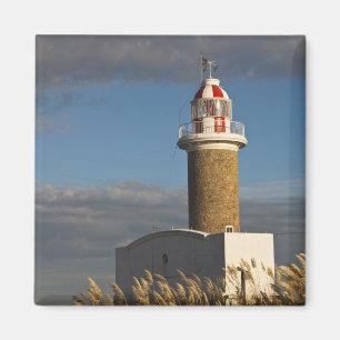 Imán Uruguay, Departamento de Montevideo, Montevideo. 3
