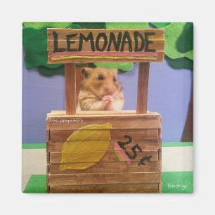 Imán ¿Usted comprará un poco de limonada? ¿El bonito