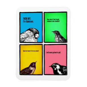 Imán Usted los individuos es extraño.  No cambie