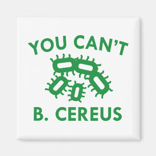 Imán Usted no puede B. Cereus