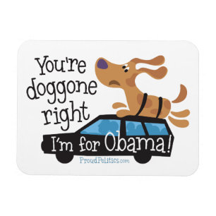 Imán ¡Usted tiene doggone razón yo está para Obama!