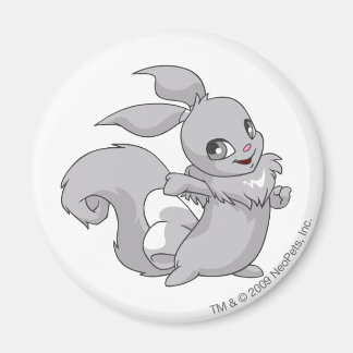 Imán Usual Silver