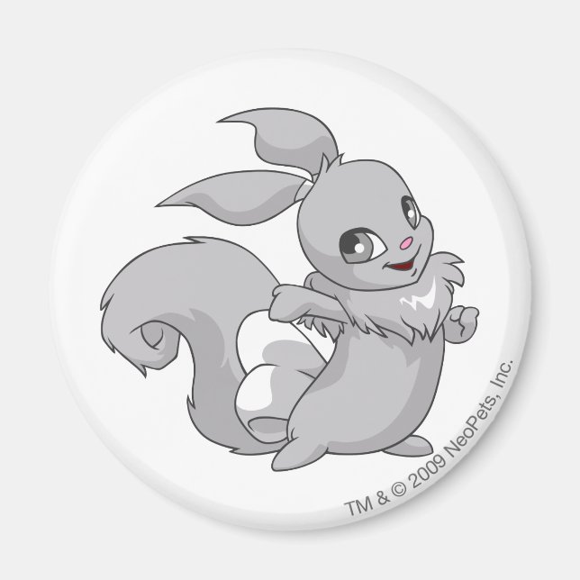 Imán Usual Silver (Frente)