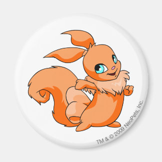 Imán Usul Naranja