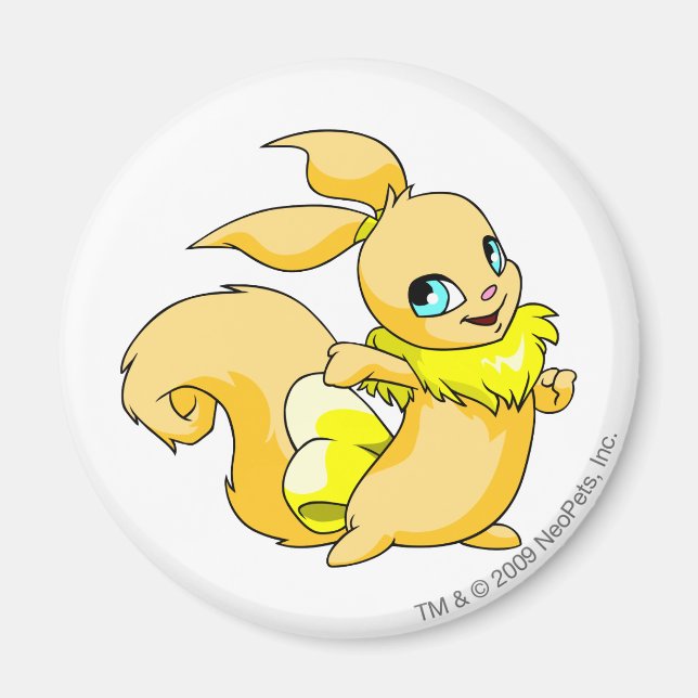 Imán Usul Yellow (Frente)