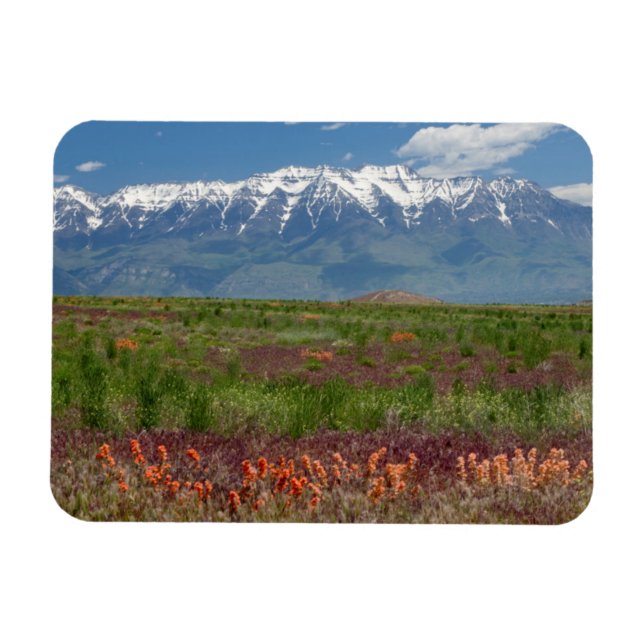 Imán Utah, EE. UU. El monte Timpanogos se eleva sobre (Horizontal)