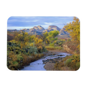 Imán UTAH. EE. UU. Pleasant Creek en otoño al amanecer.