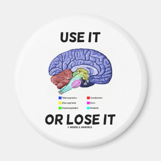 Imán Utilícelo O Pierda (Humor De Anatomía Cerebral Que