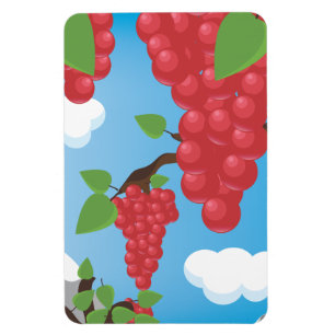 Imán uvas