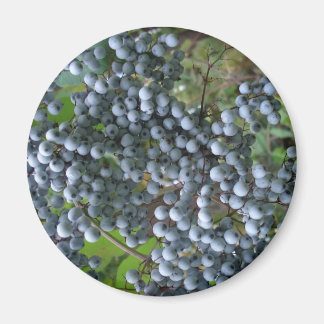 Imán Uvas