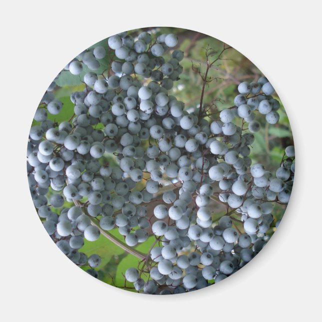 Imán Uvas (Frente)