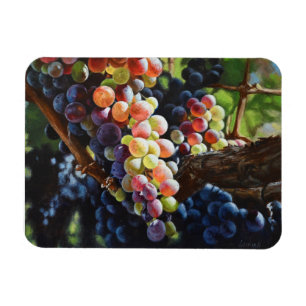 Imán Uvas de abundancia para amantes del vino y bodegas