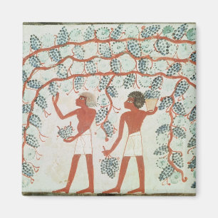 Imán Uvas de la cosecha, de la tumba de Nakht
