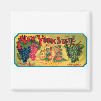 Imán Uvas del estado de Nueva York