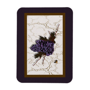 Imán Uvas espléndidas