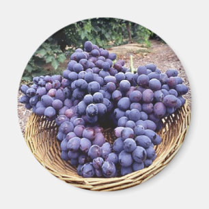 Imán Uvas moradas reales