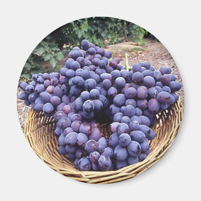 Imán Uvas moradas reales (Frente)