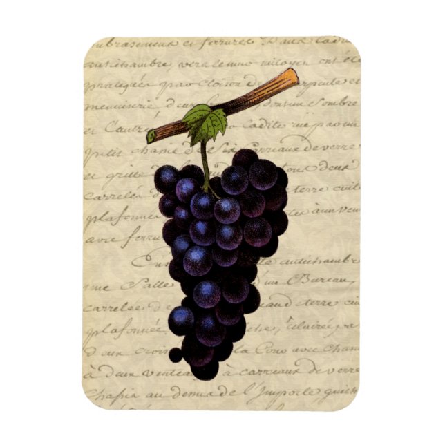 Imán Uvas negras vintage (Vertical)