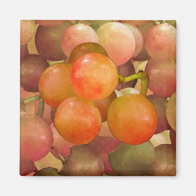 Imán Uvas No-Wrath (Frente)