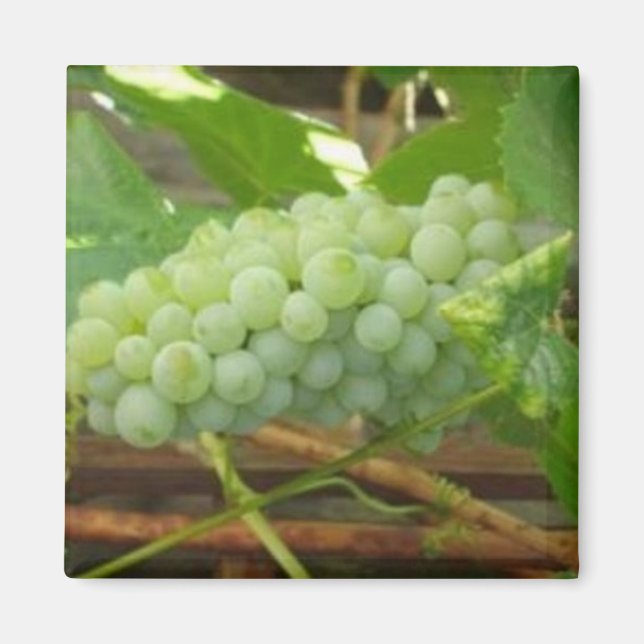 Imán Uvas verdes de California (Frente)