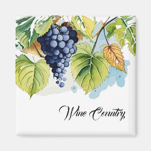Imán Uvas vitícolas