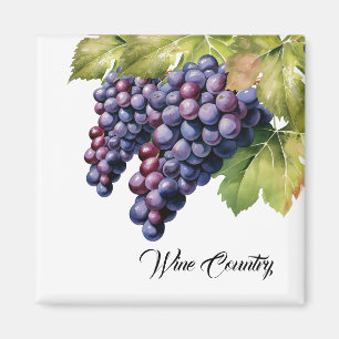 Imán Uvas vitícolas