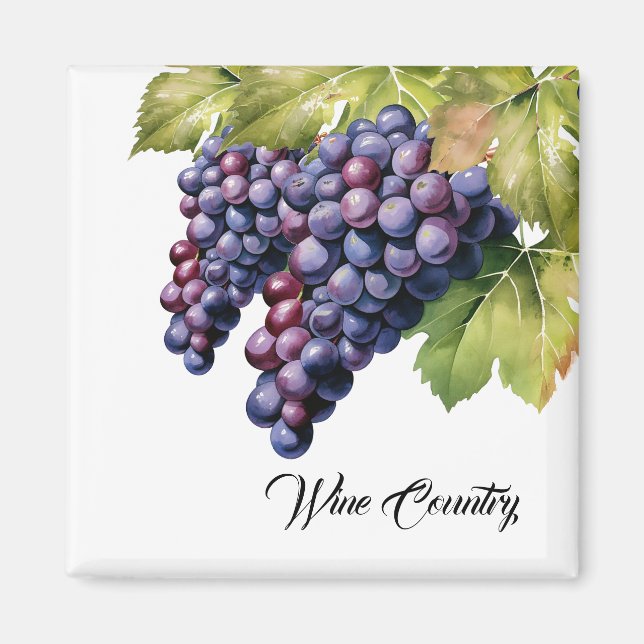 Imán Uvas vitícolas (Frente)
