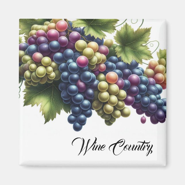 Imán Uvas vitícolas (Frente)
