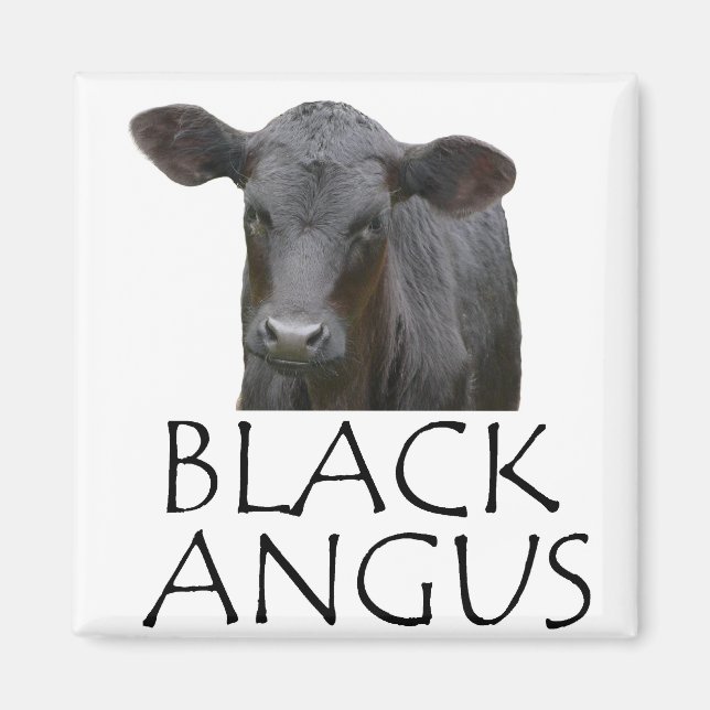 Imán Vaca angus negra (Frente)