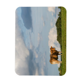 Imán Vaca de Blonde d'Aquitaine en la región de Dordogn