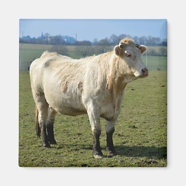 Imán Vaca en francotirador metalizado T-Sh (Frente)