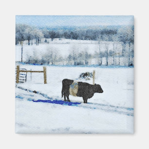 Imán Vaca Galloway con cinturón de nieve en color nieve