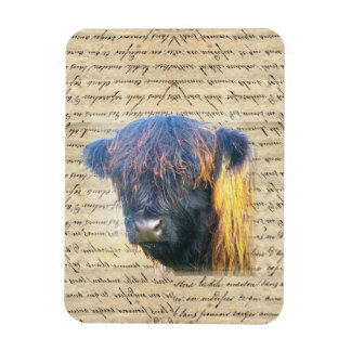 Imán Vaca Highland