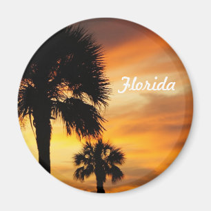 Imán Vacaciones de la Florida