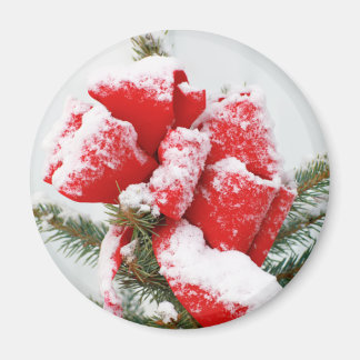 Imán Vacaciones rojas vaciadas con nieve | Navidades Xm
