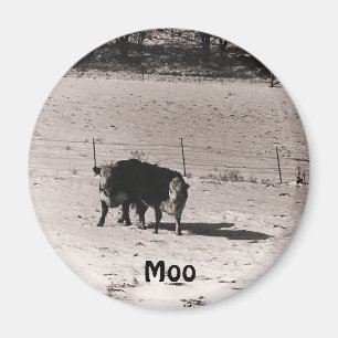 Imán vacas