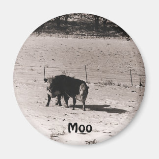 Imán vacas