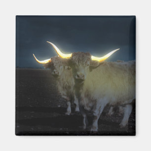 Imán Vacas De Las Tierras Altas Que Brillan En El Oscur