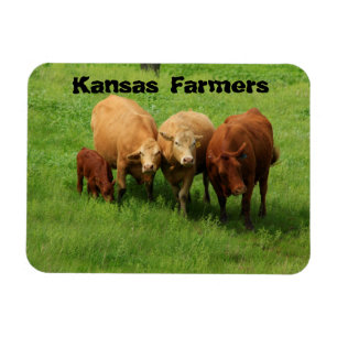 Imán Vacas de los agricultores de Kansas